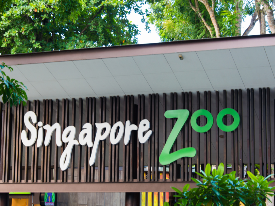 Top 10 things to Do in Singapore with Kids and Teens