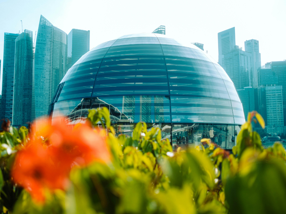 Top Things to Do in Marina Bay in Singapore